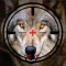 Hunting Clash Games 3D Offline